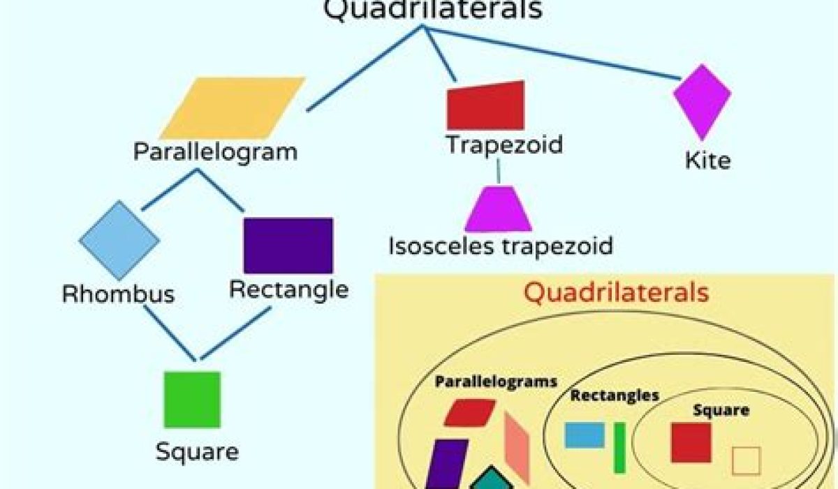Every Quadrilateral Is A Rhombus True Or False