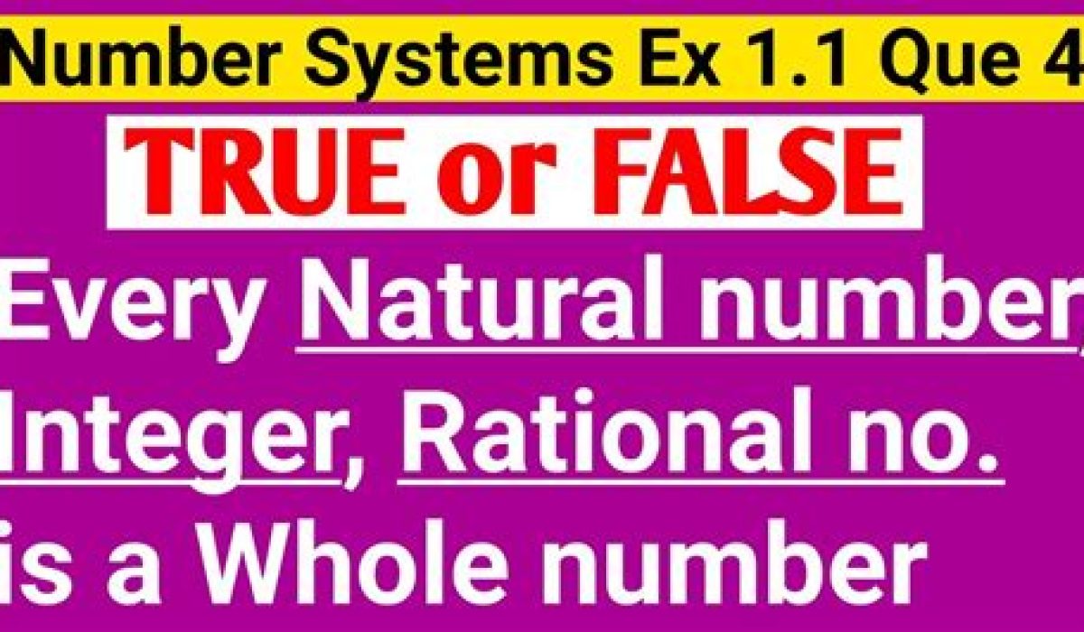 Some Rational Numbers Are Integers True Or False