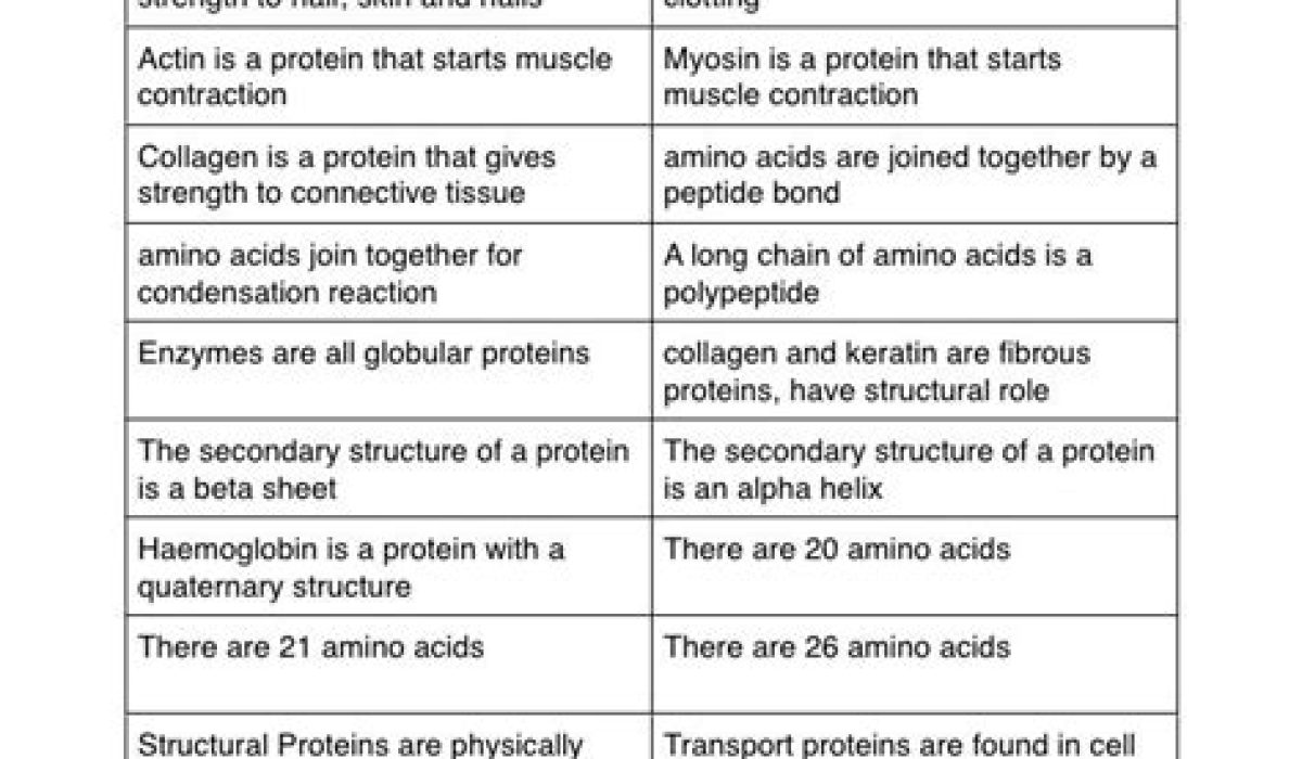 All Enzymes Are Proteins: True Or False
